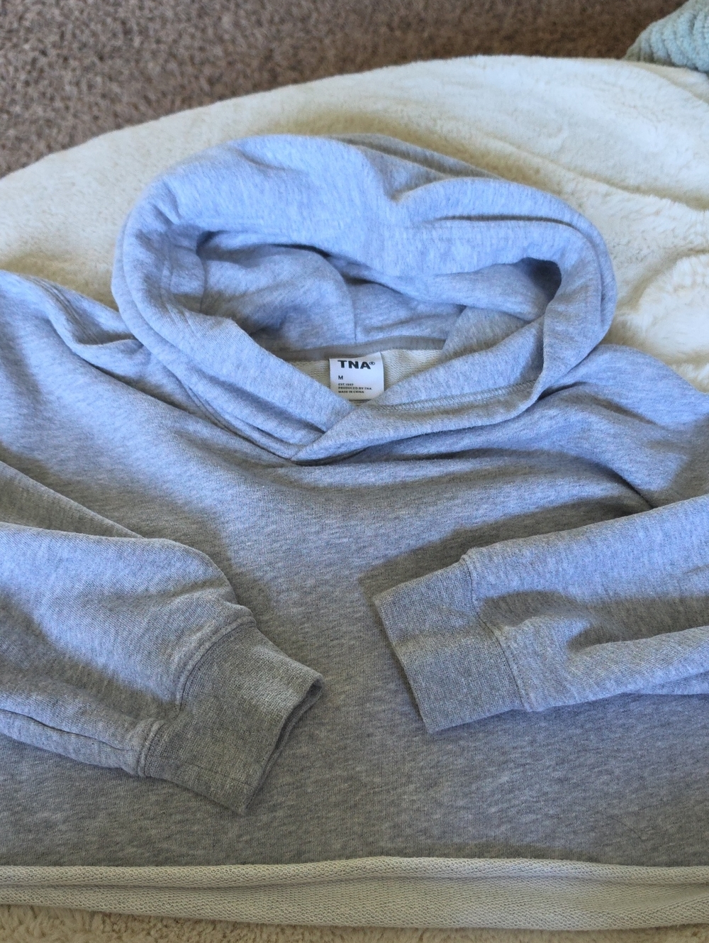 TNA By Aritzia Heather Light Gray Women's Cropped Pullover Hoodie